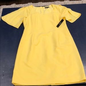 Tahari(Arthur Levine) Kensington Victoria DressNWT